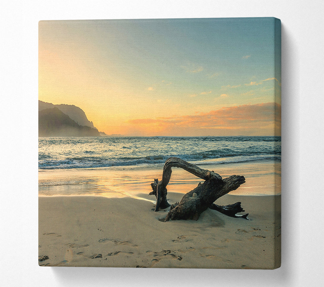 A Canvas Print of Driftwood Ocean Canvas Print
