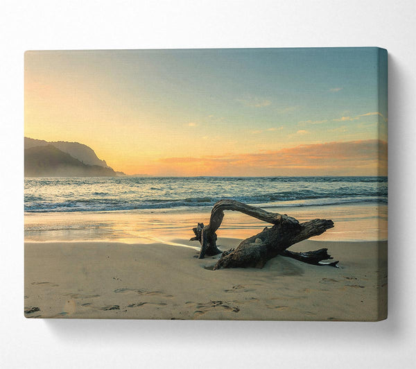  A Canvas Print of Driftwood Ocean Canvas Print