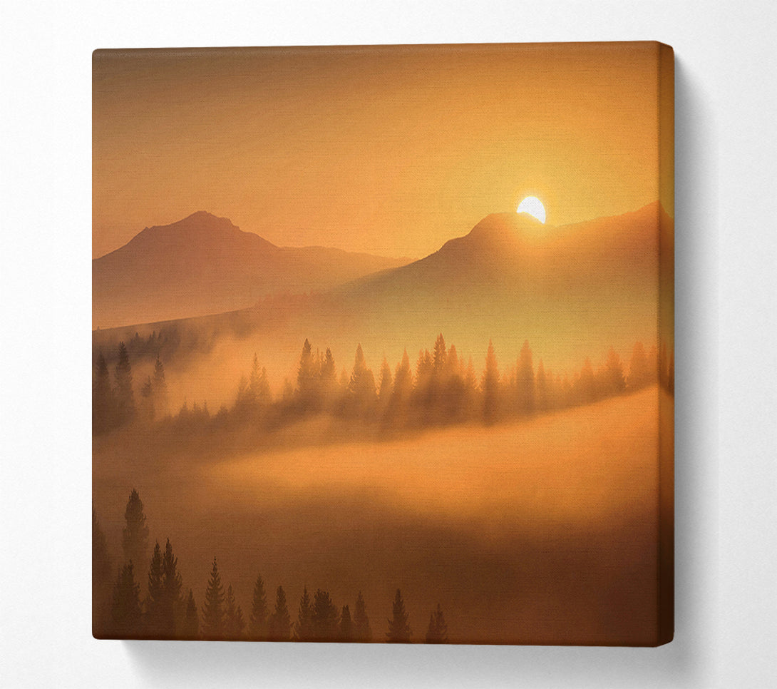  A Canvas Print of Sunrise Morning Glory Canvas Art