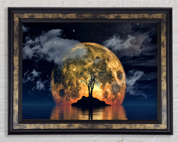 Fire Sun Tree Framed Print
