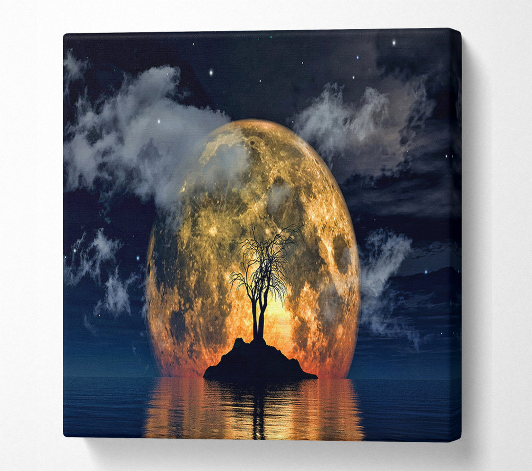  A Canvas Print of Fire Sun Tree Canvas Art