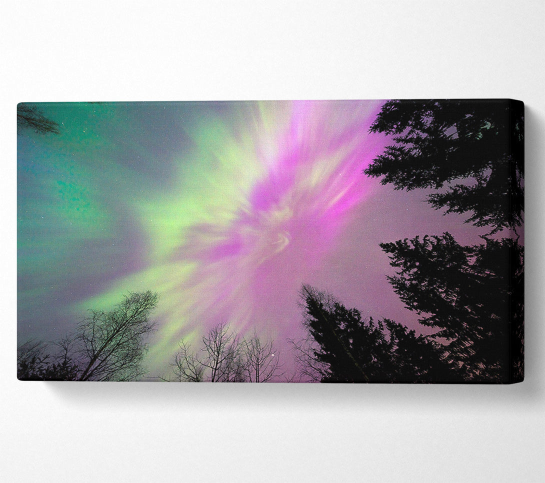  A Canvas Print of Northern Light Skies 2 Canvas Art