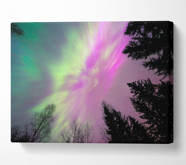 Northern Light Skies 2