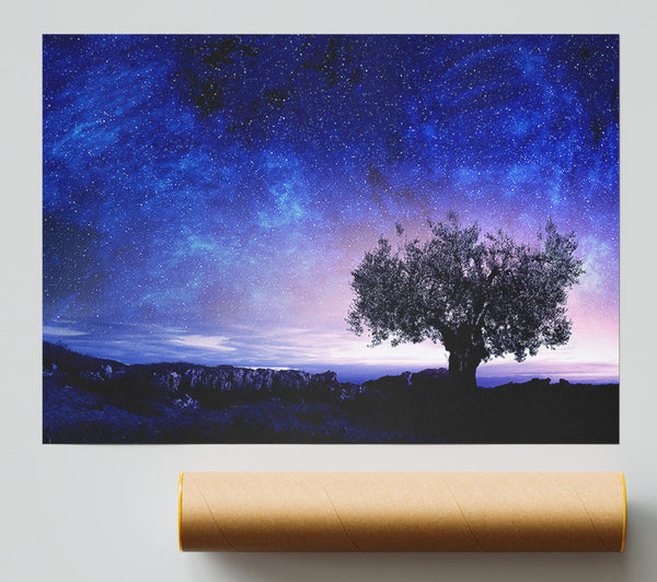 Star Light Wonder Poster