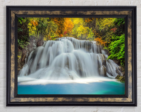 Gentle Forest Waters Framed Print