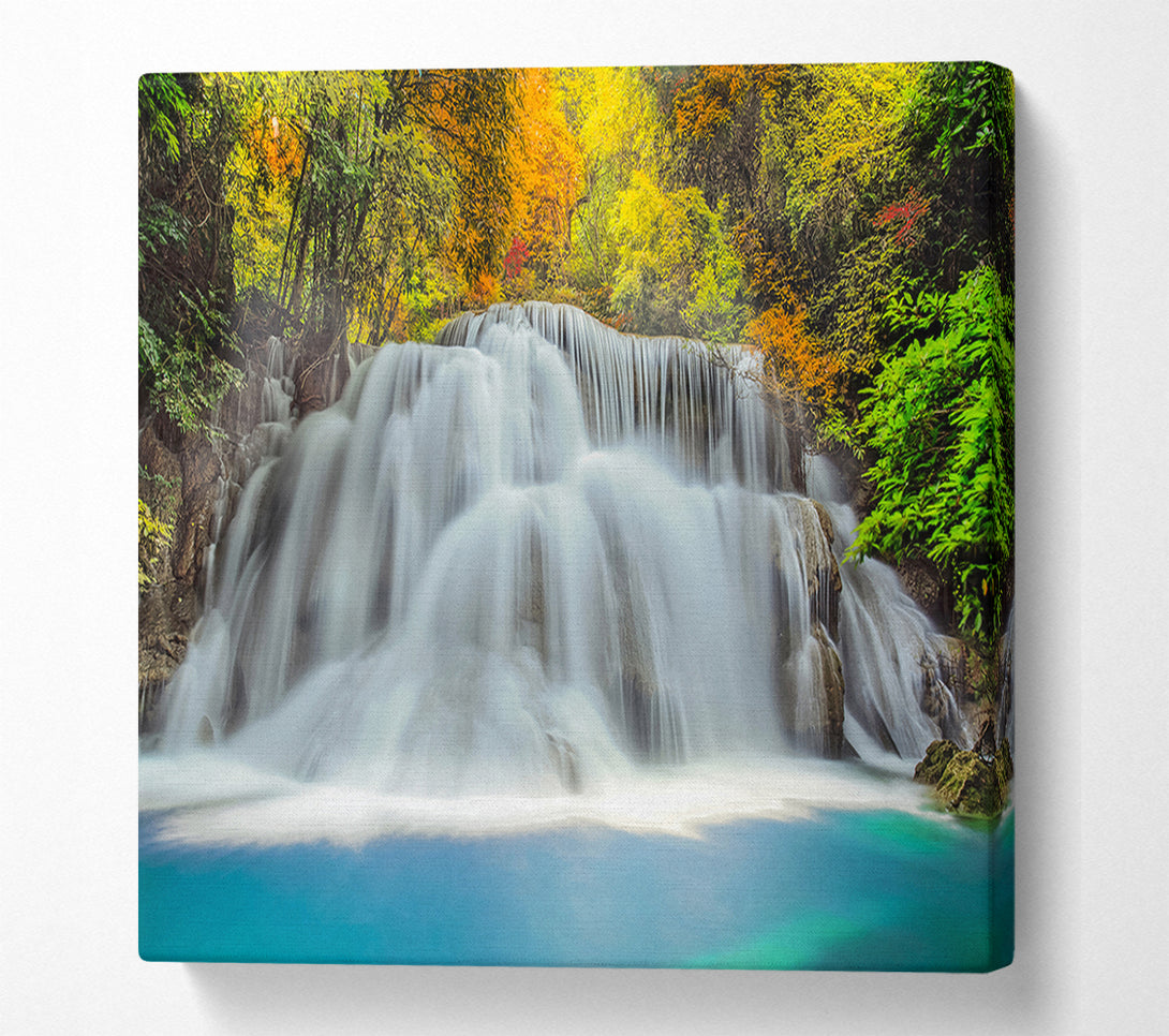  A Canvas Print of Gentle Forest Waters Canvas Print