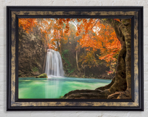 Autumn Framed Print