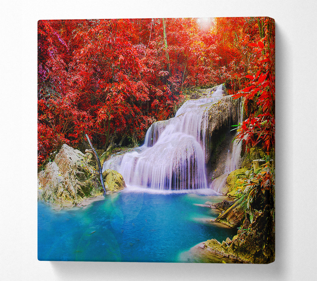  A Canvas Print of Red Tree Delight Canvas Print