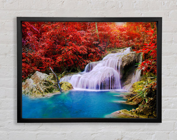 Red Tree Delight Framed Print