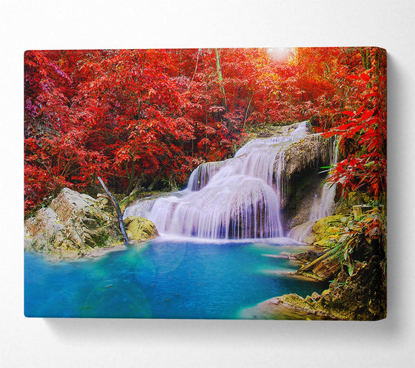  A Canvas Print of Red Tree Delight Canvas Print