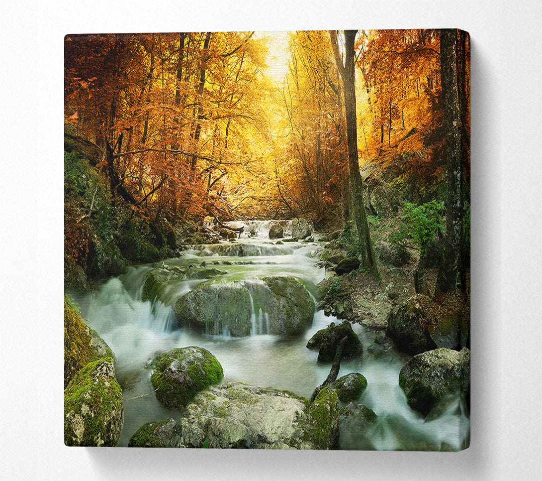  A Canvas Print of Forest Magic Canvas Wall Art