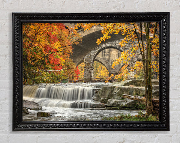 Bridge In The Forest Framed Print