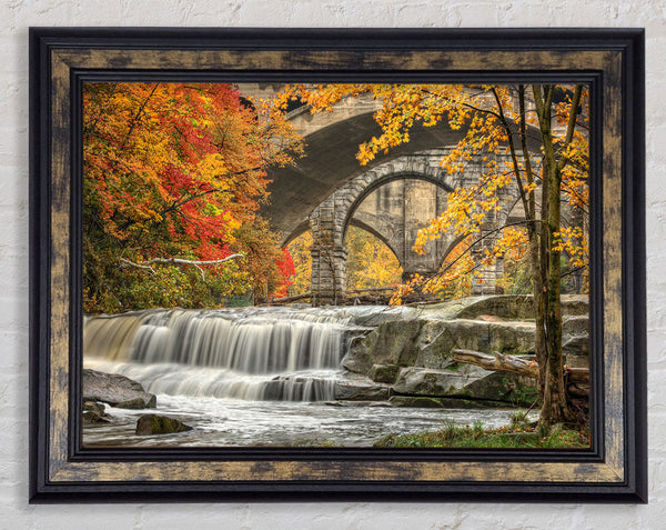 Bridge In The Forest Framed Print