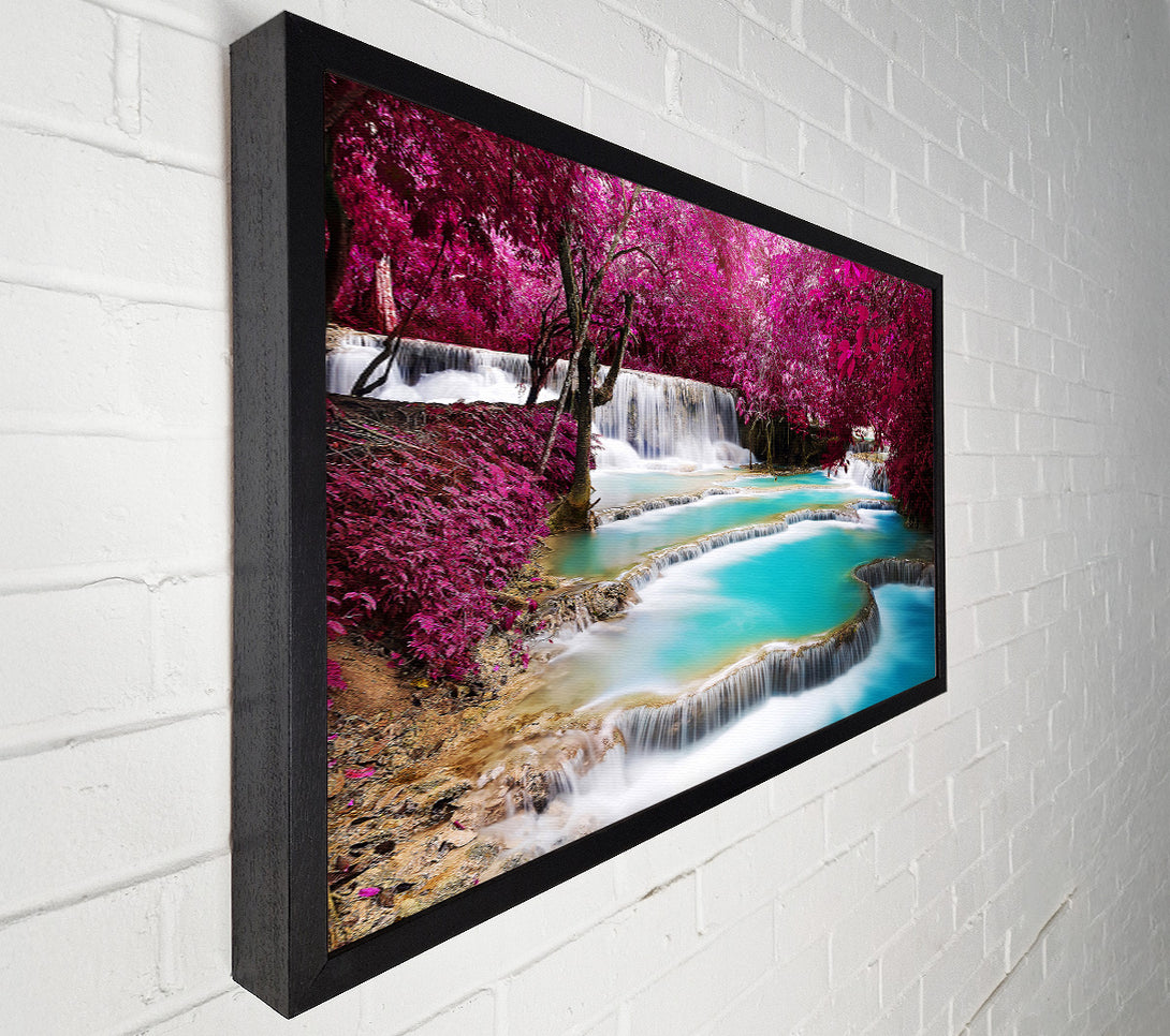  A Canvas Print of Pink Tree Beauty 1 Canvas Art