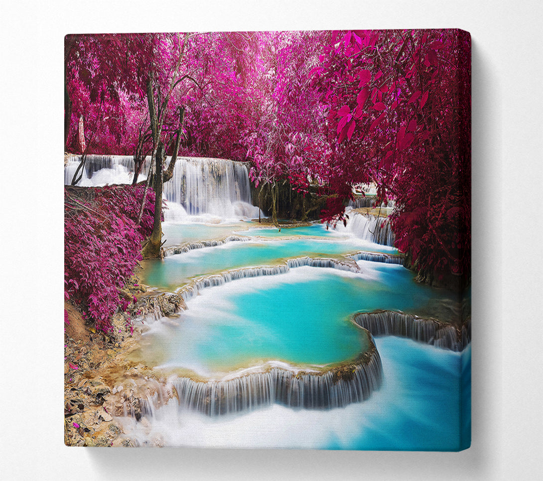  A Canvas Print of Pink Tree Beauty 1 Canvas Art