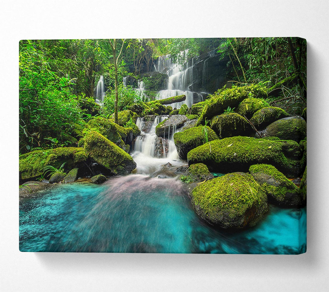  A Canvas Print of Green Delight Canvas Wall Art