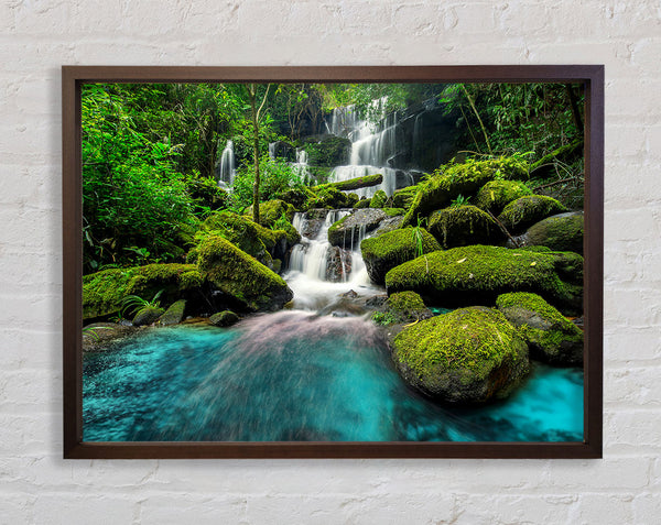 Green Delight Framed Print