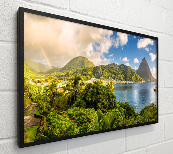 Jungle paradise rainbow