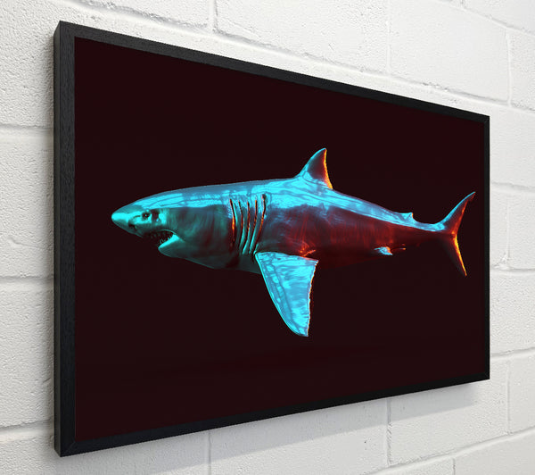 Blue shark in the deep sea