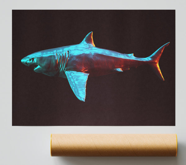 Blue Shark In The Deep Sea Poster