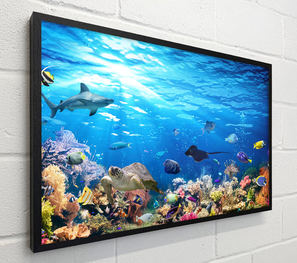 Creatures in the reef