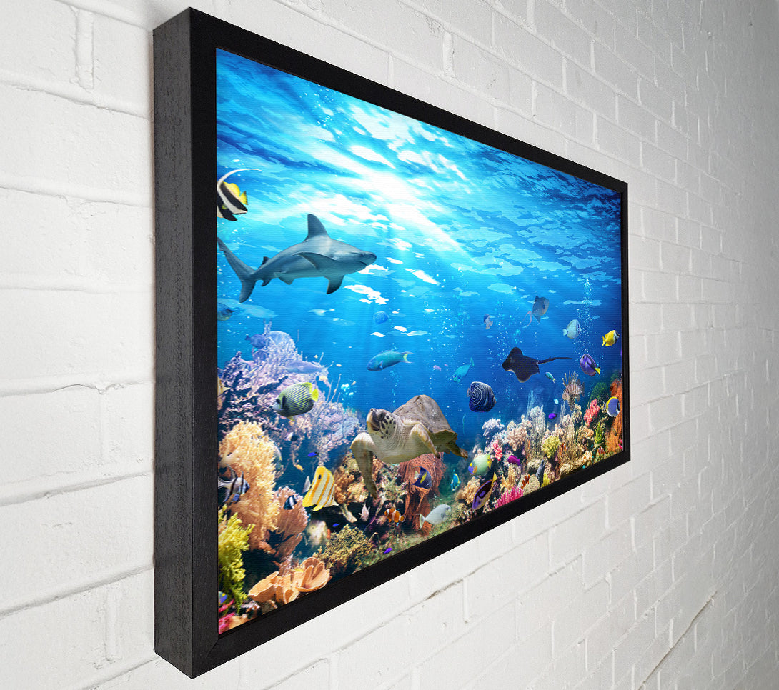  A Canvas Print of Creatures in the reef Canvas Print
