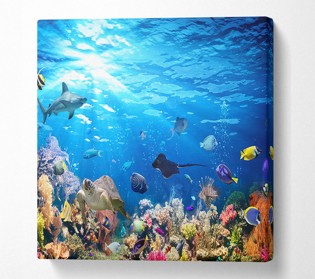  A Canvas Print of Creatures in the reef Canvas Print