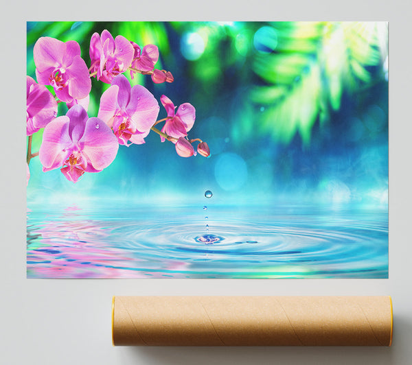 Pink Orchid Droplet Giclee Print