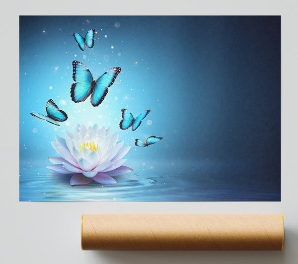 Butterflies Above The Lilly Poster