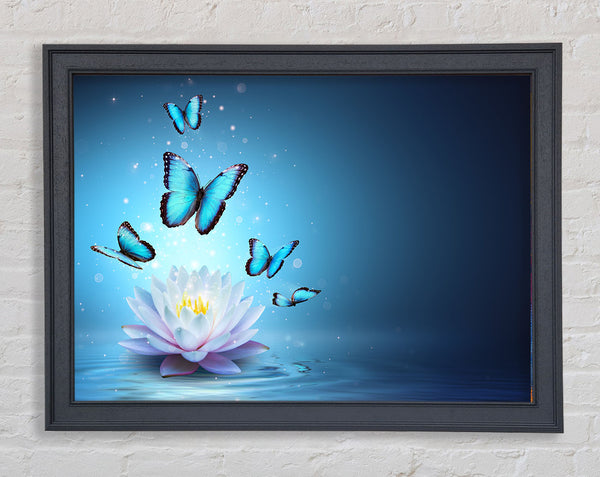 Butterflies above the lilly Framed Print