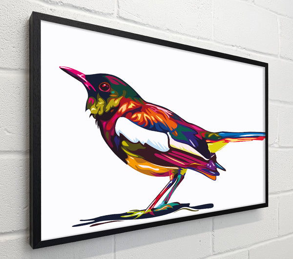 Colour splash blackbird