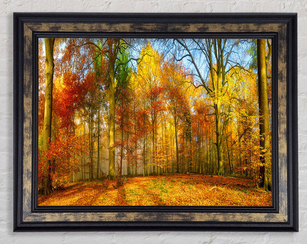 Autumn Forest soft Framed Print
