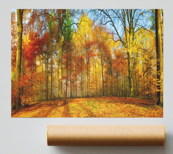 Autumn Forest Soft Giclee Print