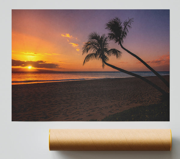 Two Palm Trees On The Beach Print