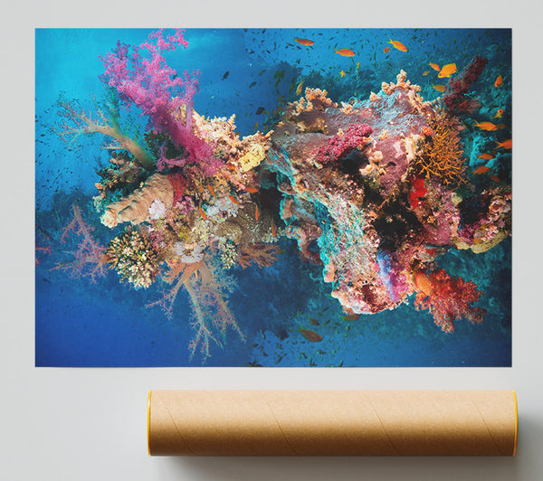 Coral Reef Habitat Giclee Print