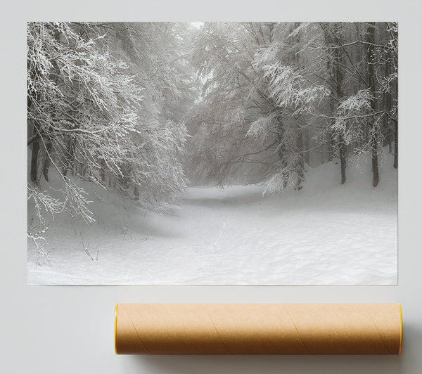 Grey Snow Forest Print