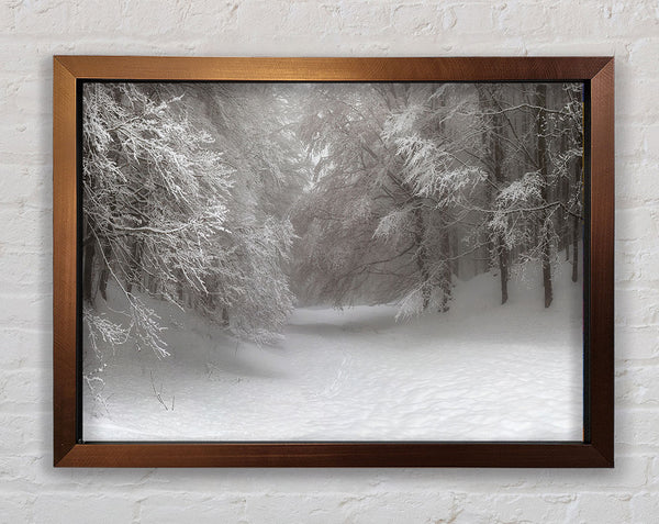 Grey snow forest Framed Print