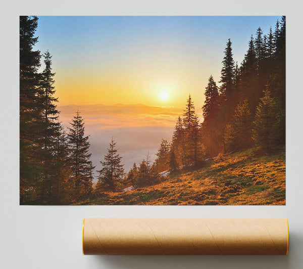 Orange Woodlands In A Sunset Print