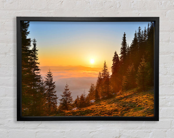 Orange Woodlands in a sunset Framed Print