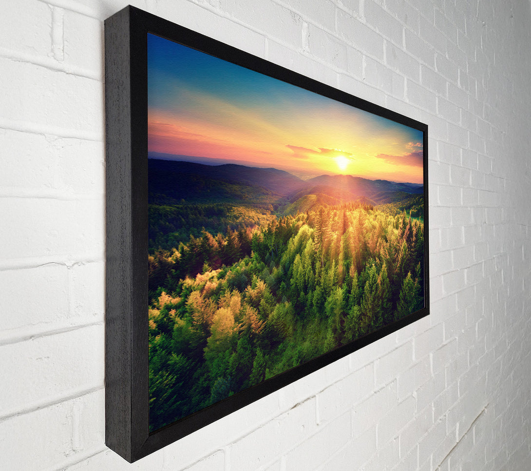  A Canvas Print of Sunrays over a green woodland Canvas Art