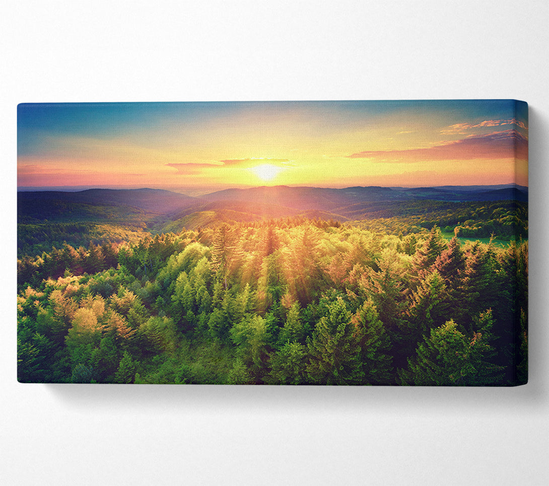  A Canvas Print of Sunrays over a green woodland Canvas Art