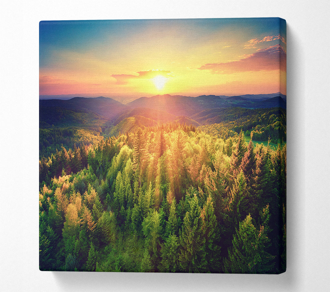  A Canvas Print of Sunrays over a green woodland Canvas Art