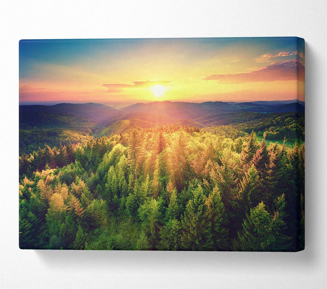  A Canvas Print of Sunrays over a green woodland Canvas Art
