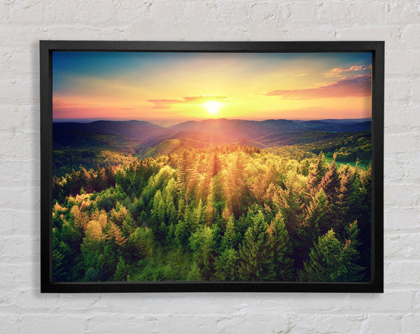 Sunrays over a green woodland Framed Print