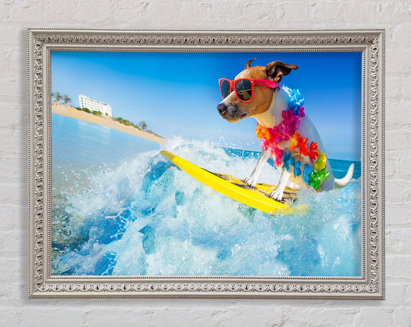 Dog with sunglasses surfing Framed Print