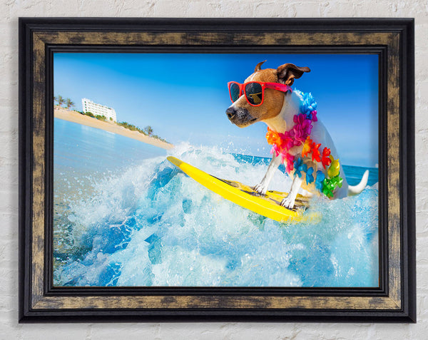 Dog with sunglasses surfing Framed Print