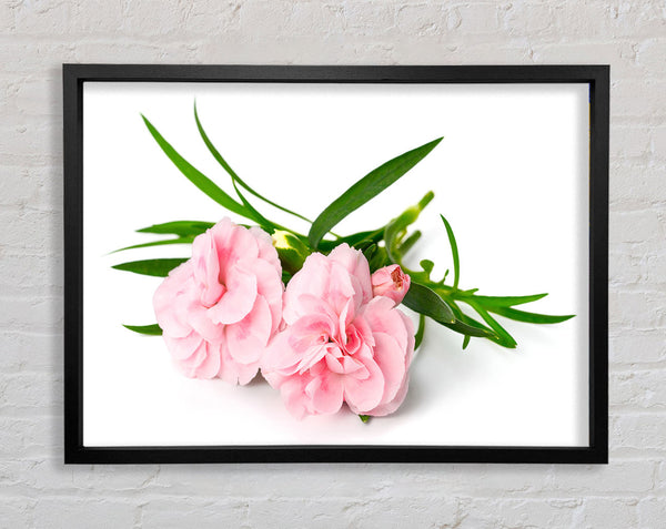 Pink flowers laid out Framed Print