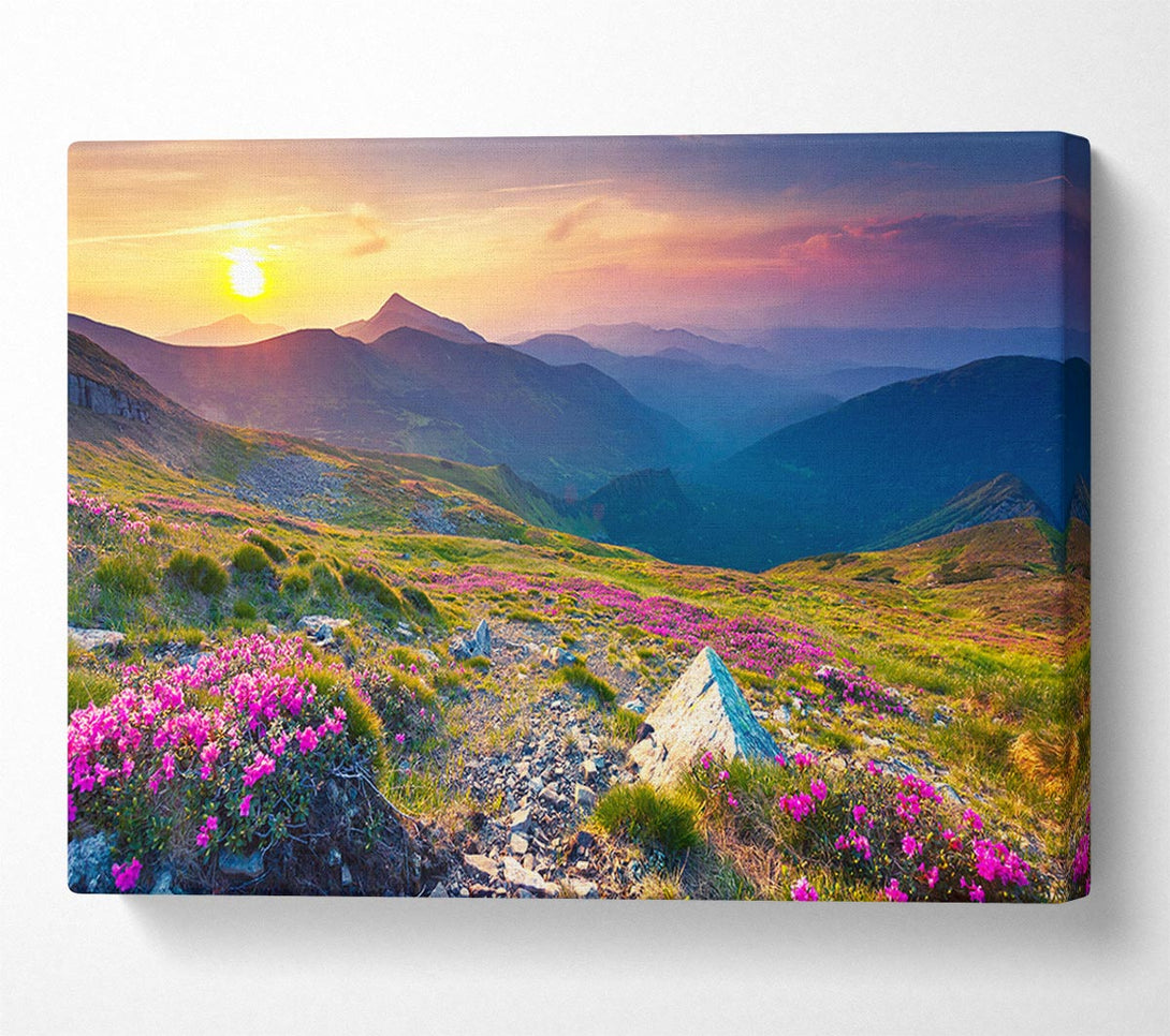  A Canvas Print of Beautiful mountain range and flowers Canvas Art