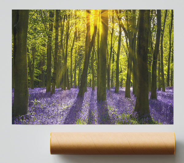 Purple Flower Greenland Print