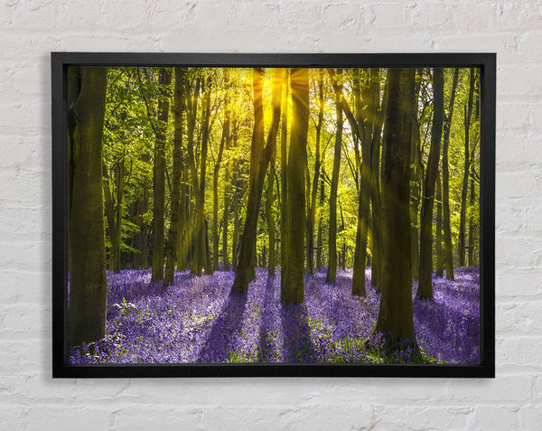 Purple flower greenland Framed Print